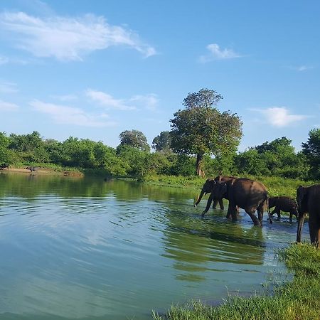 Kuma Safari Lodge 达瓦拉维 外观 照片