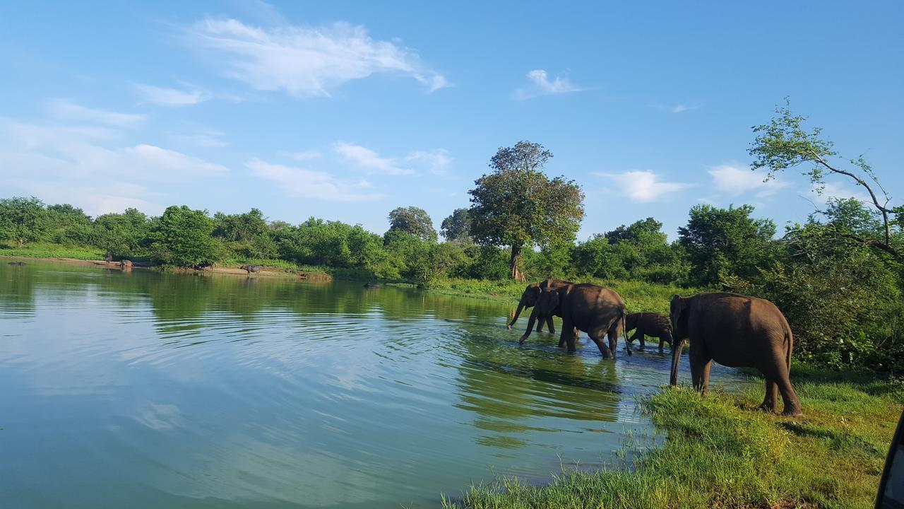 Kuma Safari Lodge 达瓦拉维 外观 照片